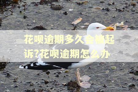花呗逾期多久会被起诉?花呗逾期怎么办