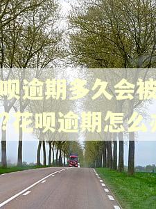 花呗逾期多久会被起诉?花呗逾期怎么办