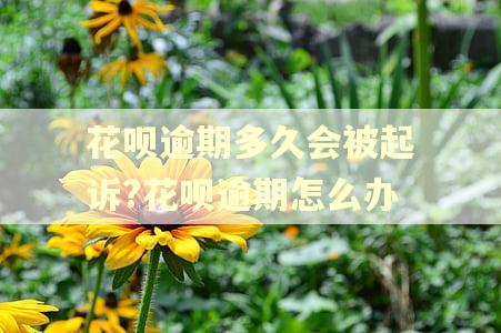 花呗逾期多久会被起诉?花呗逾期怎么办 花呗逾期多久会被起诉?花呗逾期怎么办