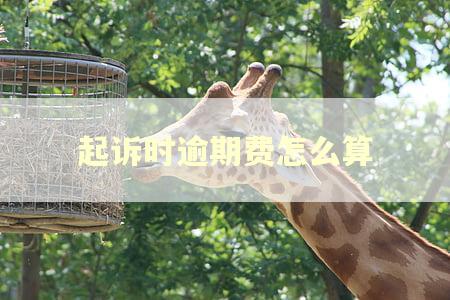 起诉时逾期费怎么算