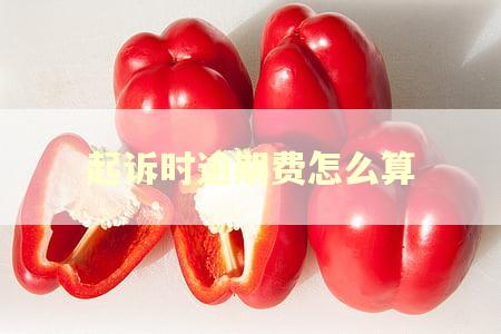 起诉时逾期费怎么算