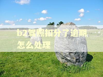 b2驾照扣分了逾期怎么处理