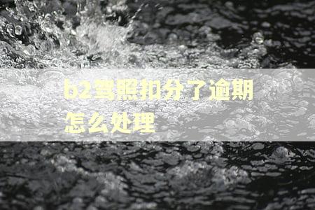 b2驾照扣分了逾期怎么处理