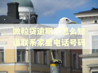 微粒贷逾期了怎么知道联系家里电话号码 微粒贷逾期了怎么知道联系家里电话号码