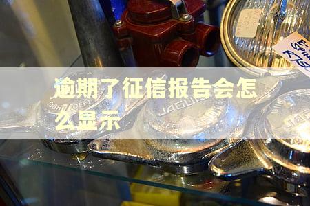 逾期了征信报告会怎么显示