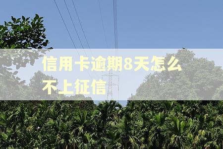信用卡逾期8天怎么不上征信