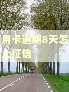 信用卡逾期8天怎么不上征信