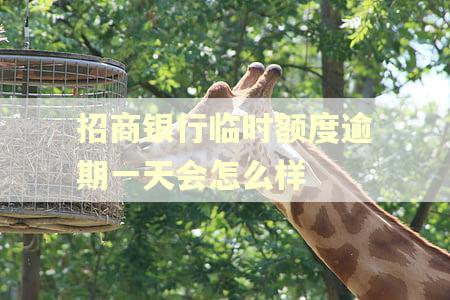招商银行临时额度逾期一天会怎么样