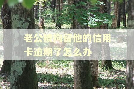 老公被拘留他的信用卡逾期了怎么办