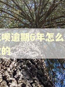 花呗逾期6年怎么还款的