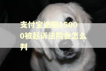 支付宝逾期15000被起诉法院会怎么判