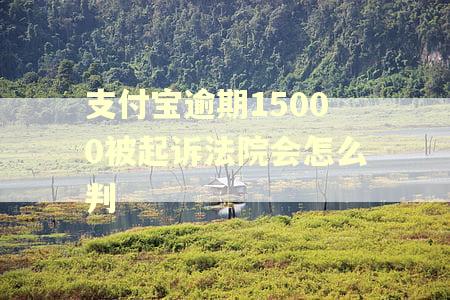 支付宝逾期15000被起诉法院会怎么判