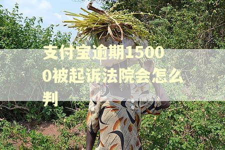 支付宝逾期15000被起诉法院会怎么判