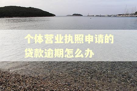 个体营业执照申请的贷款逾期怎么办