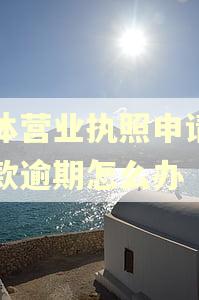个体营业执照申请的贷款逾期怎么办