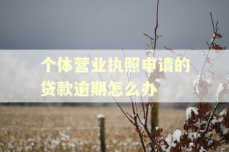 个体营业执照申请的贷款逾期怎么办 个体营业执照申请的贷款逾期怎么办
