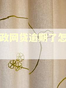 邮政网贷逾期了怎么办