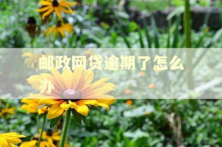 邮政网贷逾期了怎么办 邮政网贷逾期了怎么办