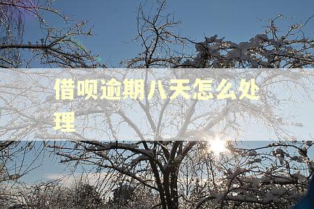 借呗逾期八天怎么处理
