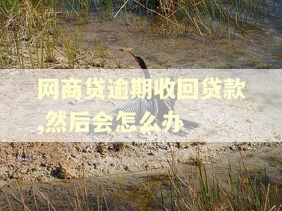 网商贷逾期收回贷款,然后会怎么办 网商贷逾期收回贷款,然后会怎么办