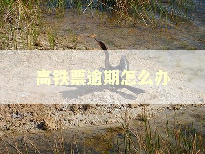 高铁票逾期怎么办