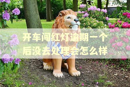 开车闯红灯逾期一个后没去处理会怎么样
