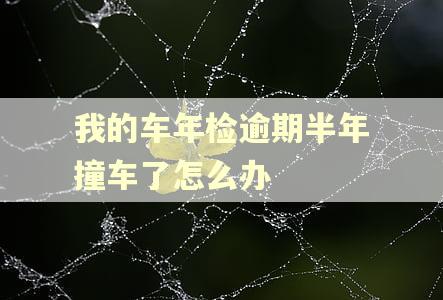 我的车年检逾期半年撞车了怎么办