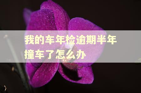 我的车年检逾期半年撞车了怎么办 我的车年检逾期半年撞车了怎么办