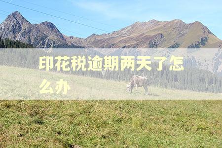 印花税逾期两天了怎么办