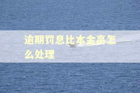 逾期罚息比本金高怎么处理
