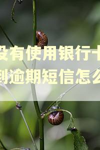 都没有使用银行卡缺收到逾期短信怎么办？