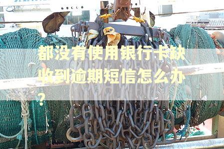 都没有使用银行卡缺收到逾期短信怎么办？