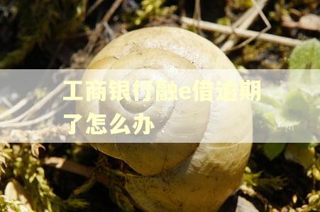 工商银行融e借逾期了怎么办