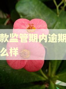 贷款监管期内逾期会怎么样
