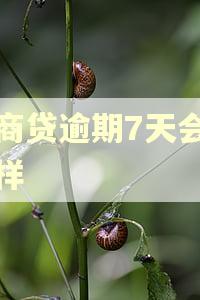 网商贷逾期7天会怎么样