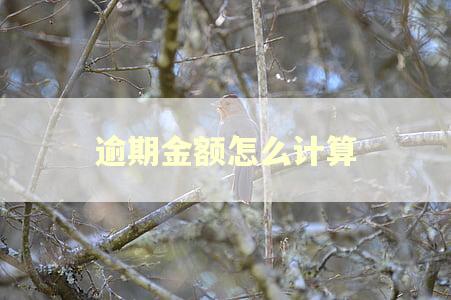 逾期金额怎么计算