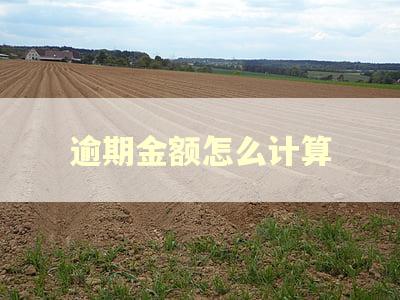 逾期金额怎么计算