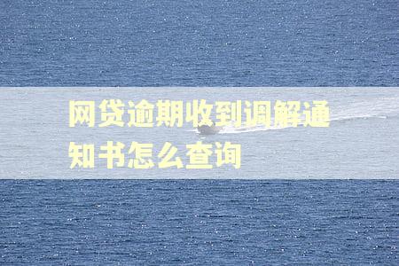 网贷逾期收到调解通知书怎么查询