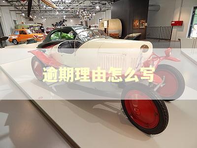 逾期理由怎么写