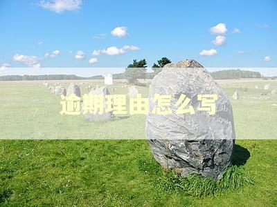 逾期理由怎么写