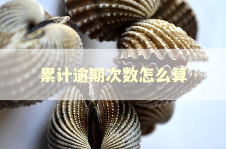 累计逾期次数怎么算