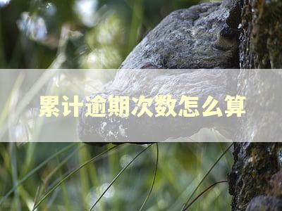 累计逾期次数怎么算