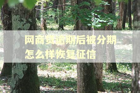 网商贷逾期后被分期怎么样恢复征信