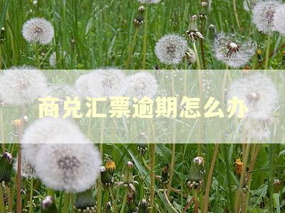 商兑汇票逾期怎么办