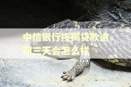 中信银行按揭贷款逾期三天会怎么样