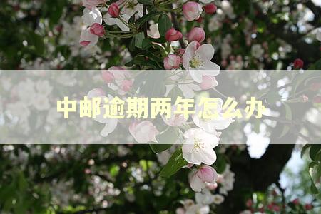 中邮逾期两年怎么办 中邮逾期两年怎么办