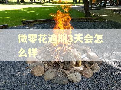 微零花逾期3天会怎么样
