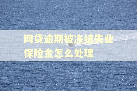 网贷逾期被冻结失业保险金怎么处理