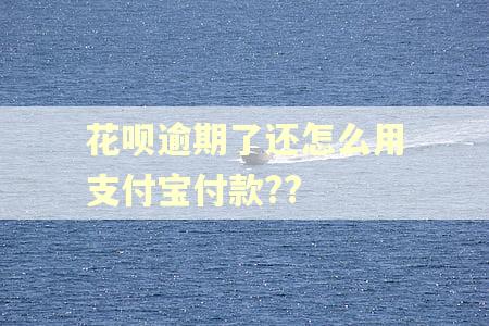 花呗逾期了还怎么用支付宝付款??