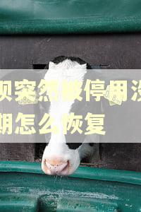 花呗突然被停用没有逾期怎么恢复